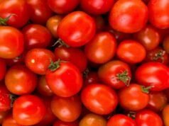 Ghana Turns to Evaporation to Keep Vegetable Harvests Fresh Without Power