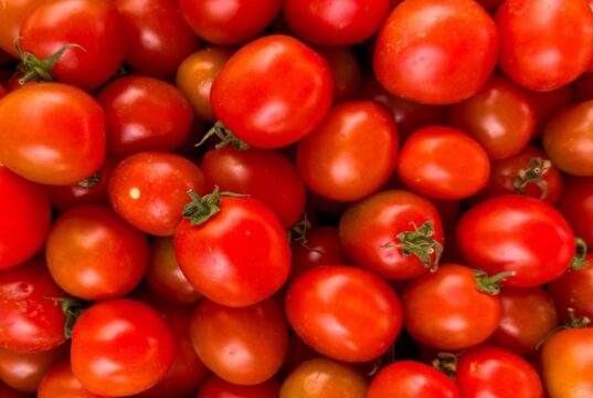 Ghana Turns to Evaporation to Keep Vegetable Harvests Fresh Without Power