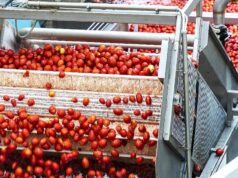 Lagos Farm Fair is Transforming Nigerian Agriculture
