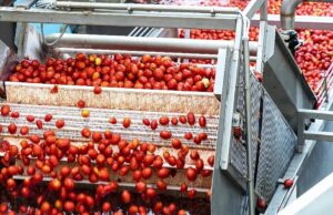 Lagos Farm Fair is Transforming Nigerian Agriculture
